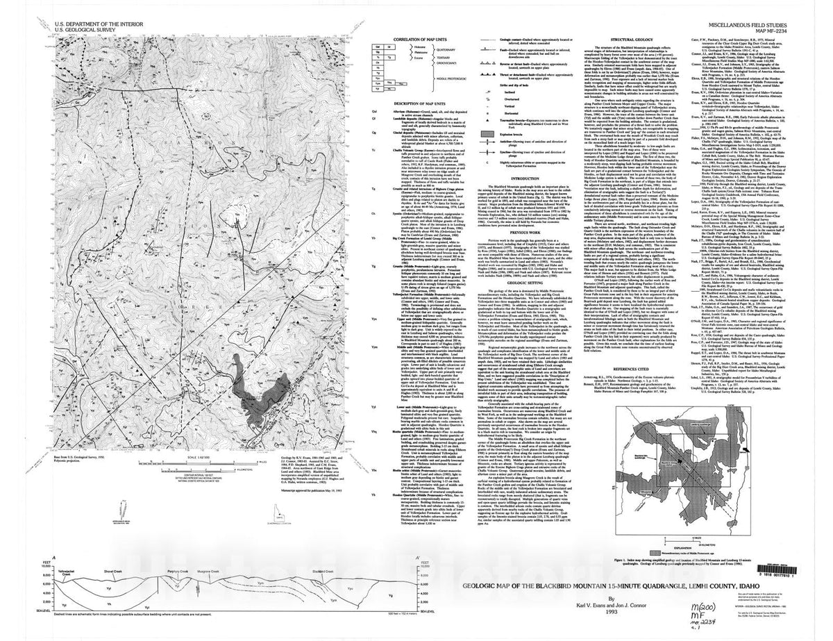 Map : Geologic map of the Blackbird Mountain 15-minute quadrangle, Lemhi County, Idaho, 1993 Cartography Wall Art :