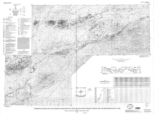 Map : Interpretive geologic map and supporting radiolarian data from the Angayuchum terrane, Coldfoot area, southern Brooks Range, Alaska, 1988 Cartography Wall Art :