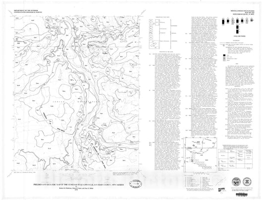 Map : Preliminary geologic map of the Newcomb SE quadrangle, San Juan County, New Mexico, 1979 Cartography Wall Art :