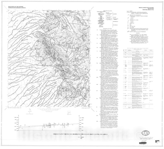 Map : Geologic map of the Gold Hill quadrangle, Hildalgo and Grant Counties, New Mexico, 1978 Cartography Wall Art :