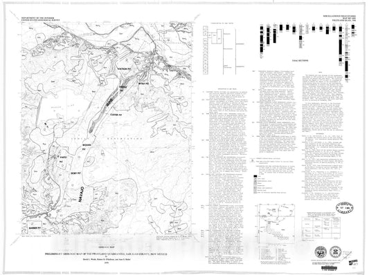 Map : Preliminary geologic map of the Fruitland quadrangle, San Juan County, New Mexico, 1979 Cartography Wall Art :