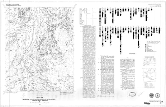 Map : Preliminary geologic map of the Newcomb NE quadrangle, San Juan County, New Mexico, 1979 Cartography Wall Art :