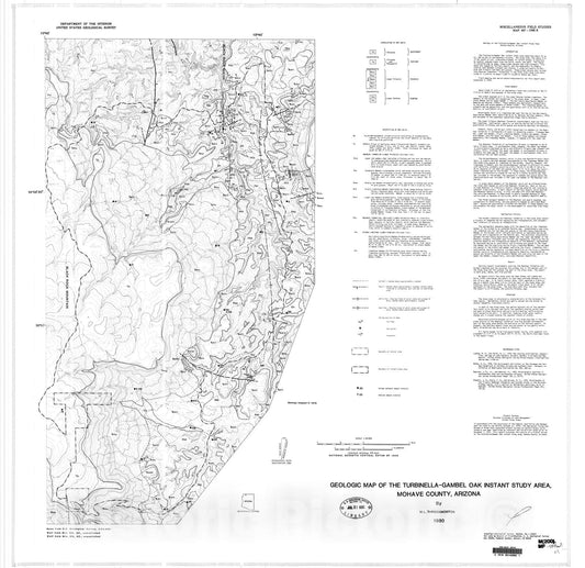 Map : Geologic map of the Turbinella-Gambel Oak Instant Study Area, Mohave County, Arizona, 1980 Cartography Wall Art :