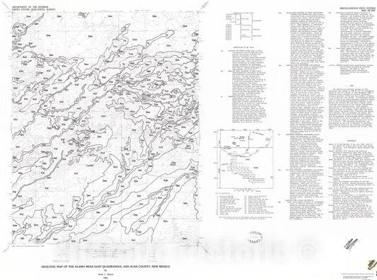 Map : Geologic map of the Alamo Mesa East quadrangle, San Juan County, New Mexico, 1982 Cartography Wall Art :
