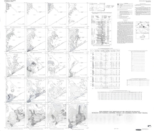 Map : Maps showing coal resources of the Amonate quadrangle, Buchanan and Tazewell Counties, Virginia and McDowell County, West Virginia, 1986 Cartography Wall Art :