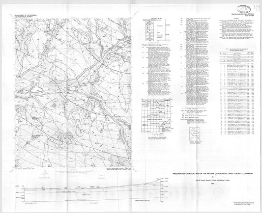 Map : Preliminary geologic map of the Molina quadrangle, Mesa County, Colorado, 1985 Cartography Wall Art :