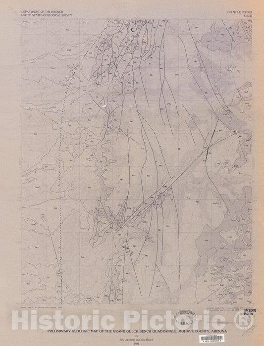 Map : Preliminary geologic map of the Grand Gulch Bench quadrangle, Mohave County, Arizona, 1981 Cartography Wall Art :