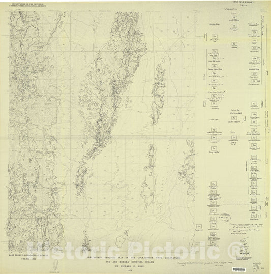 Map : Preliminary geologic map of the Cockalorum Wash quadrangle, Nye and Eureka Counties, Nevada, 1978 Cartography Wall Art :