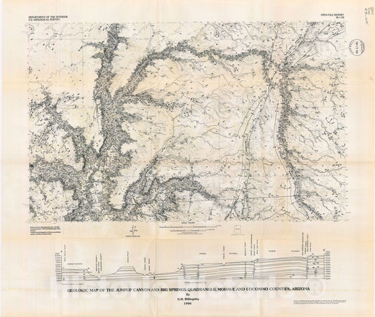 Map : Geologic map of the Jumpup Canyon and Big Springs quadrangles, Mohave and Coconino Counties, Arizona, 1990 Cartography Wall Art :