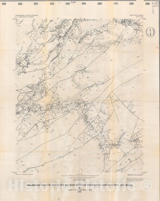 Map : Preliminary geologic map of the Milligan Mountain quadrangle, Catron County, New Mexico, 1990 Cartography Wall Art :
