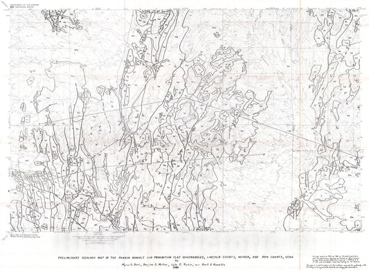 Map : Preliminary geologic map of the Panaca Summit and Prohibition Flat quadrangles, Lincoln County, Nevada and Iron County, Utah, 1991 Cartography Wall Art :