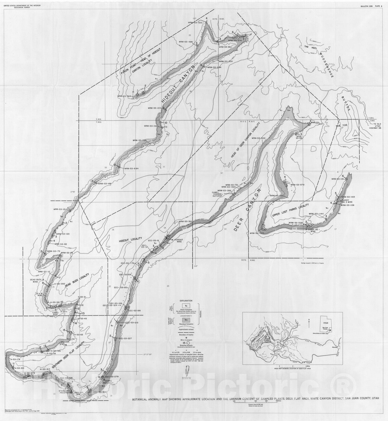 Map : Botanical prospecting for uranium in the Deer Flat area, White Canyon district, San Juan County, Utah, 1960 Cartography Wall Art :