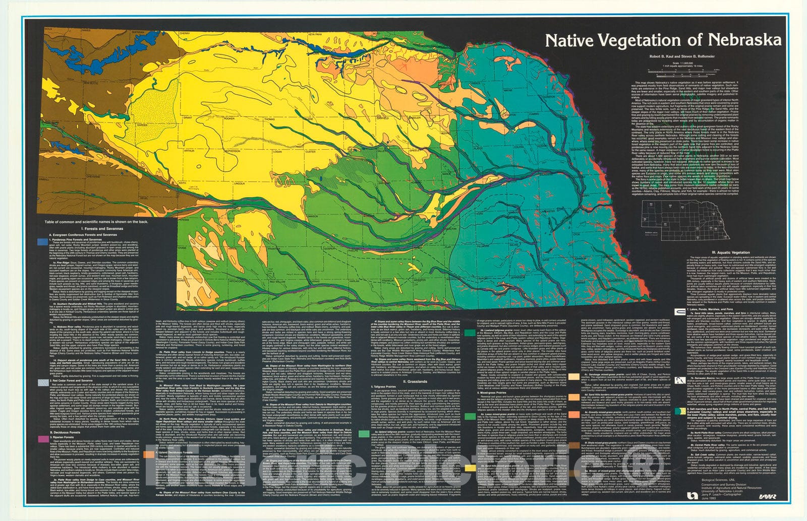 Map : Native vegetation map of Nebraska, 1993 Cartography Wall Art :