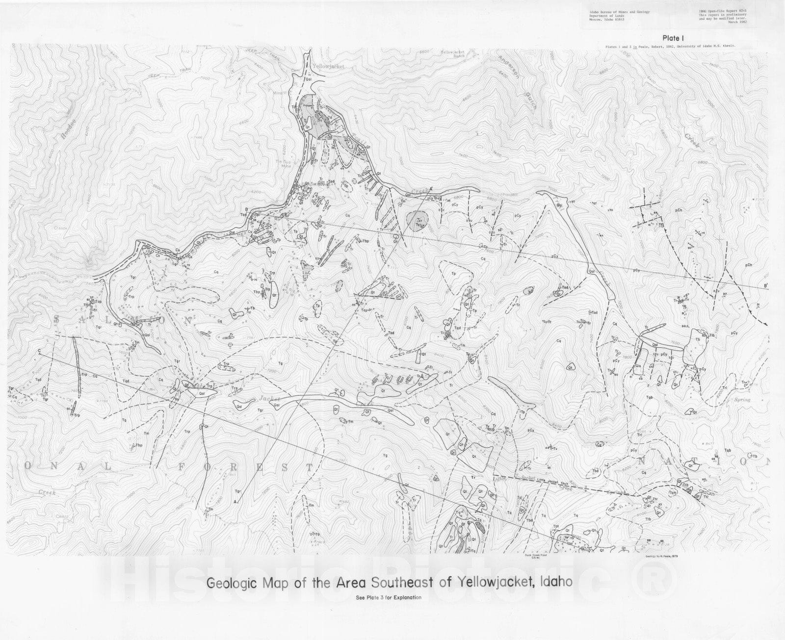 Map : Geologic map of the area southeast of Yellowjacket, Idaho, 1982 Cartography Wall Art :