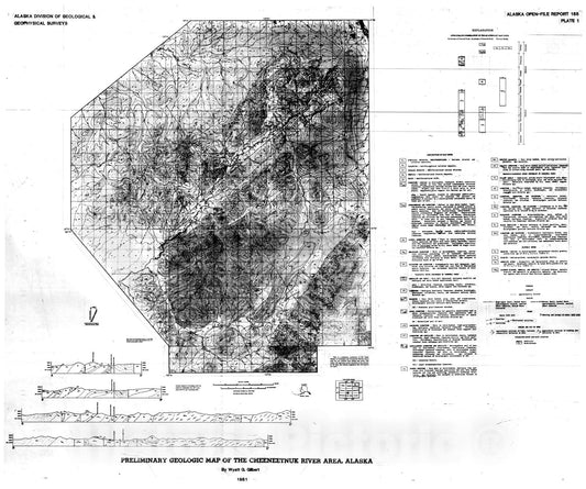 Map : Preliminary geologic map and geochemical data, Cheeneetnuk River area, Alaska, 1981 Cartography Wall Art :