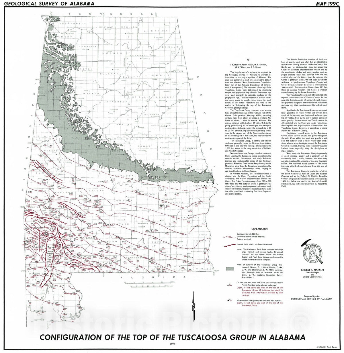 Map : Configuration of the top of the Tuscaloosa Group in Alabama, 1984 Cartography Wall Art :