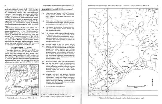 Map : Late Quaternary geomorphic changes along the San Juan River and its tributaries near Bluff, Utah, 1985 Cartography Wall Art :