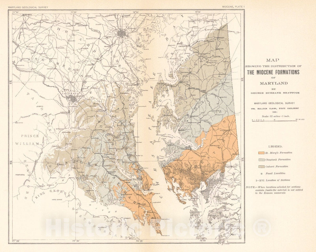 Map : Miocene [deposits of Maryland], 1904 Cartography Wall Art :