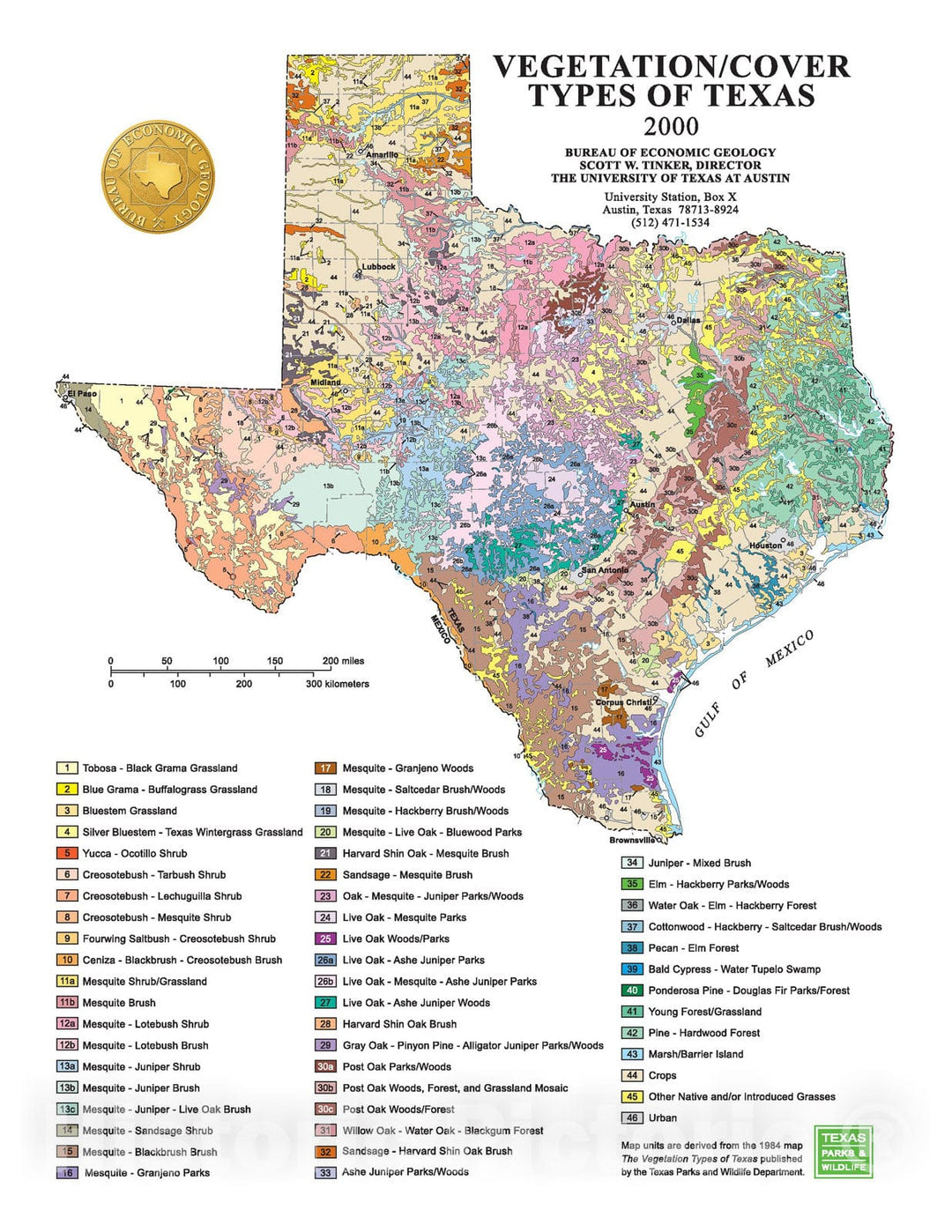 Map : Vegetation/Cover Types of Texas, 2000 Cartography Wall Art :