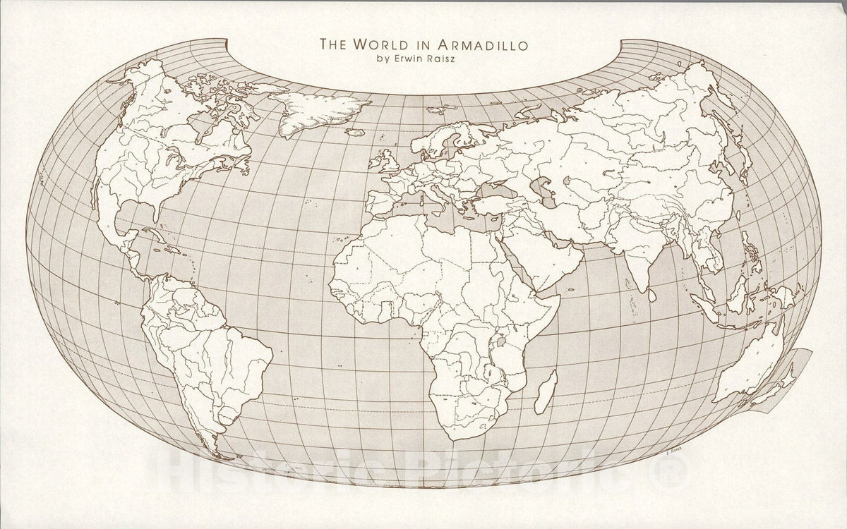 Historic Map : World in Armadillo., 1960, Vintage Wall Art