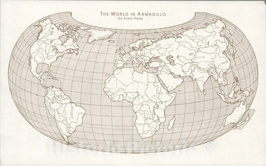 Historic Map : World in Armadillo., 1960, Vintage Wall Art