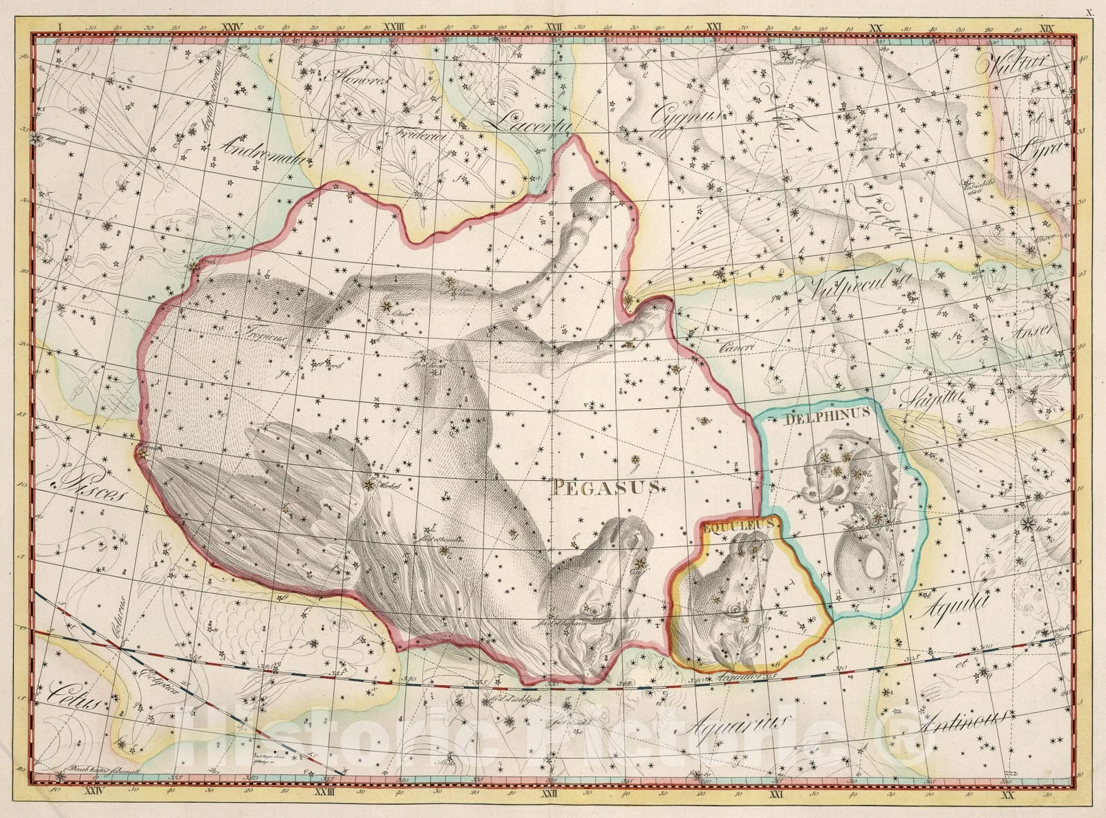 Historic Map : X. Delphinus... Coelum Stellatum., 1801, Vintage Wall Art