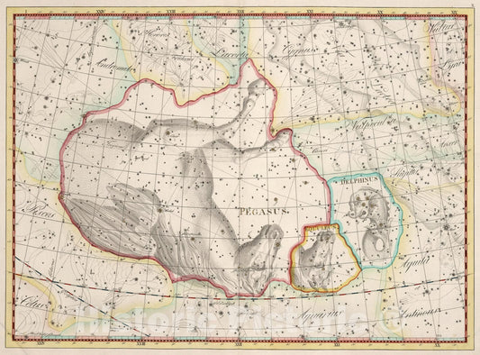 Historic Map : X. Delphinus... Coelum Stellatum., 1801, Vintage Wall Art