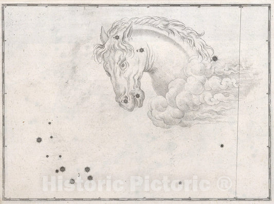Historic Map : Constellation: Equuleus, Horse Head., 1655, Vintage Wall Art
