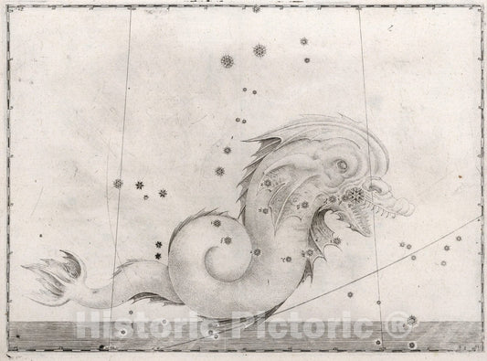 Historic Map : Constellation: Serpent Monster., 1655, Vintage Wall Art