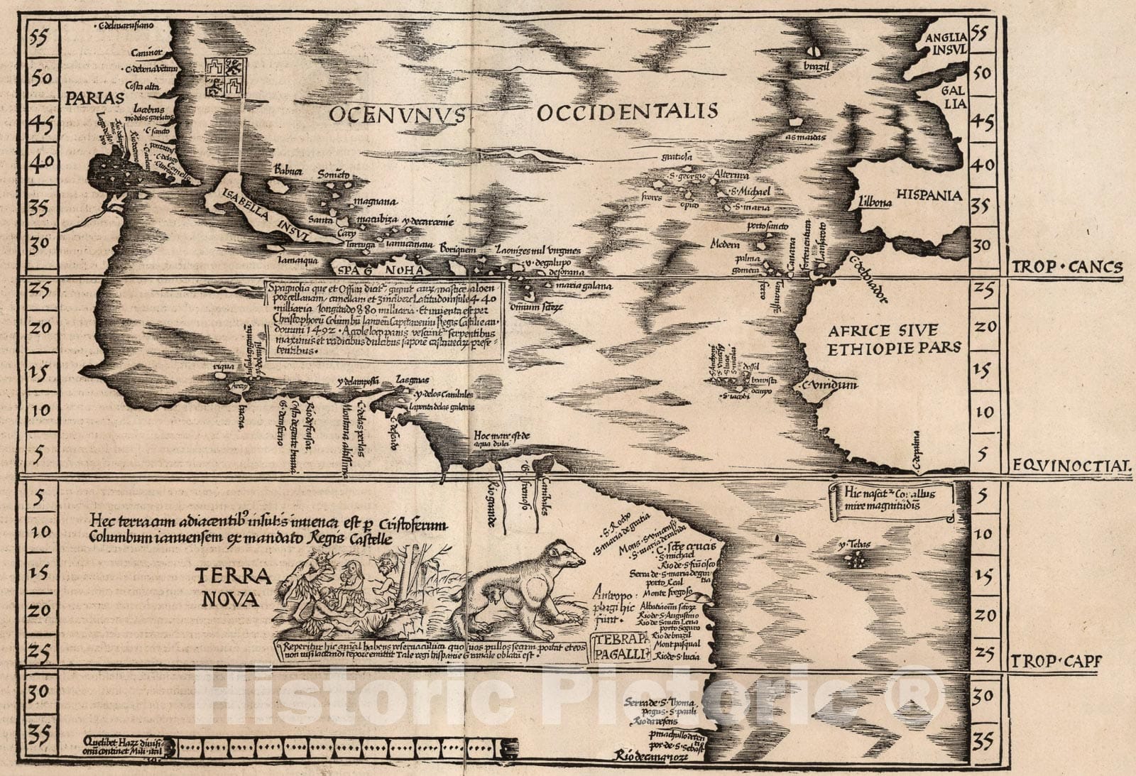 Historic Map : Terra nova, 1541, Vintage Wall Art