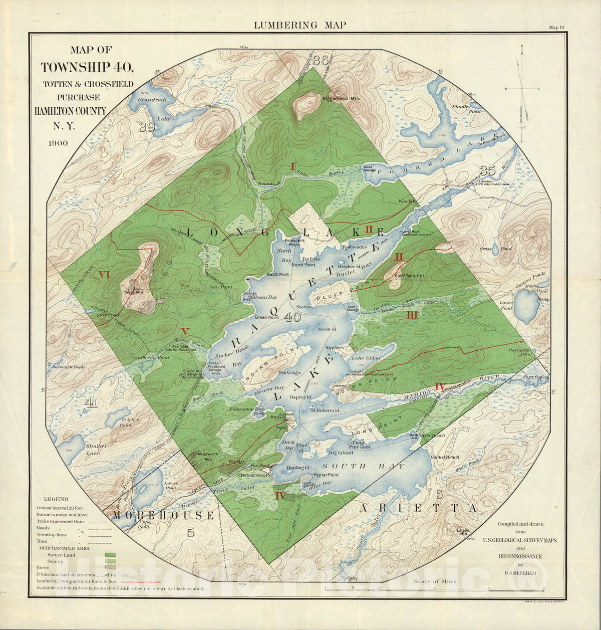 Historic Map : Lumbering Map. Map of Township 40, Totten and Crossfield Purchase, Hamilton County, N.Y., 1900, Vintage Wall Art