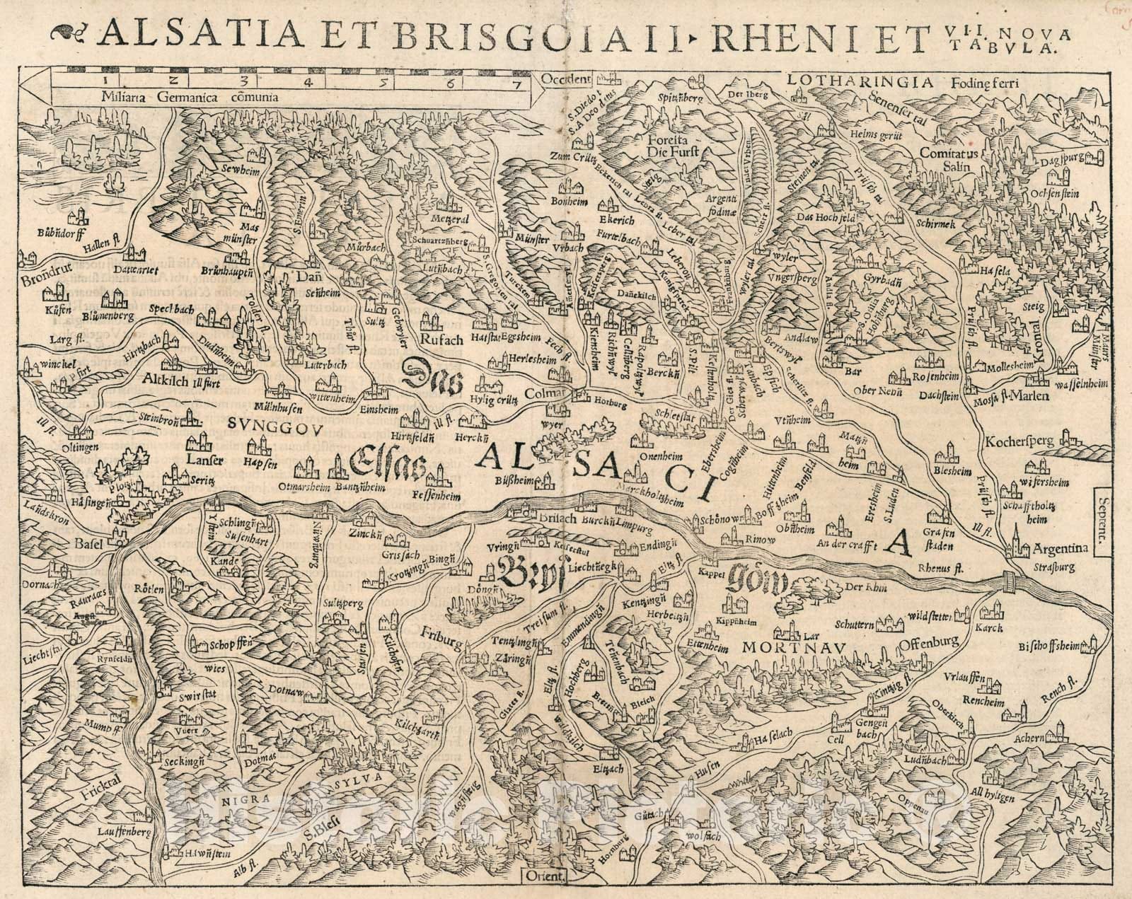 Historic Map : Alsatia et Brisgoia II Rheni et VII nova tabula, 1540, Vintage Wall Art