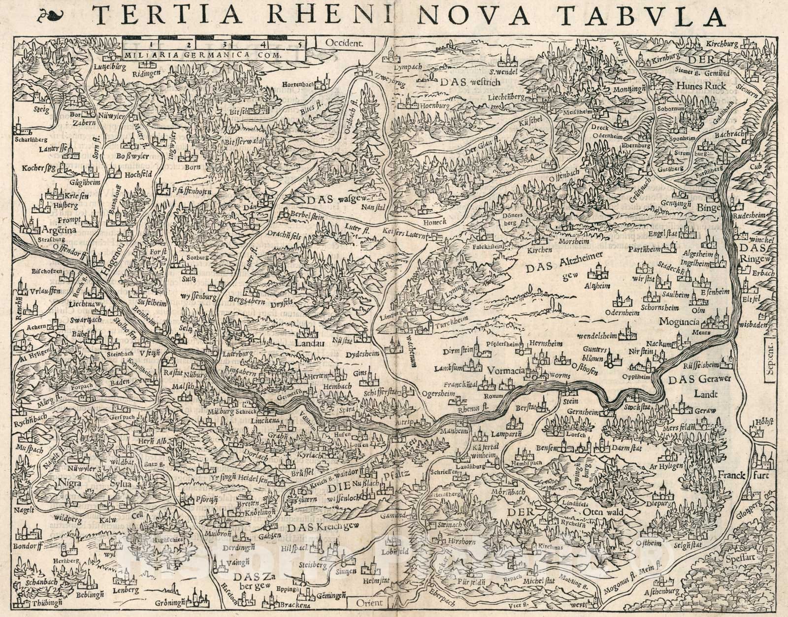 Historic Map : Tertia Rheni Nova Tabula, 1540, Vintage Wall Art
