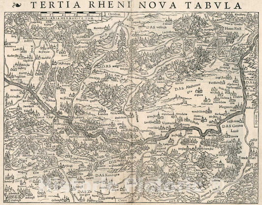 Historic Map : Tertia Rheni Nova Tabula, 1540, Vintage Wall Art