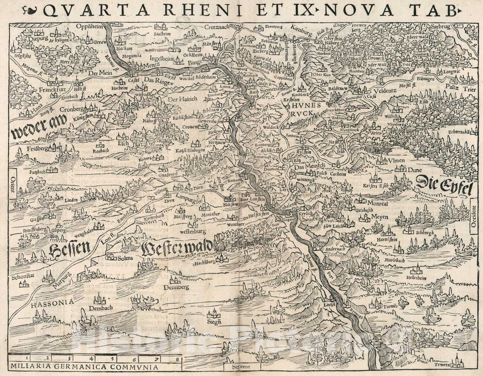 Historic Map : Quarta Rheni Et IX Nova Tab., 1540, Vintage Wall Art