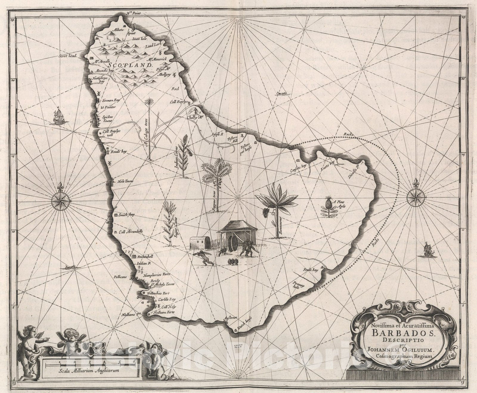 Historic Map : Novissima et Acuratissima Barbados., 1671, Vintage Wall Art