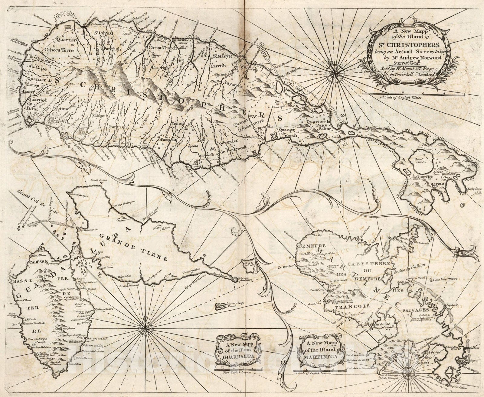 Historic Map : New Mapp of the Island of St. Christophers being an Actuall Survey taken by Mr. Andrew Norwood Surveyr. Genll., 1794, Vintage Wall Art