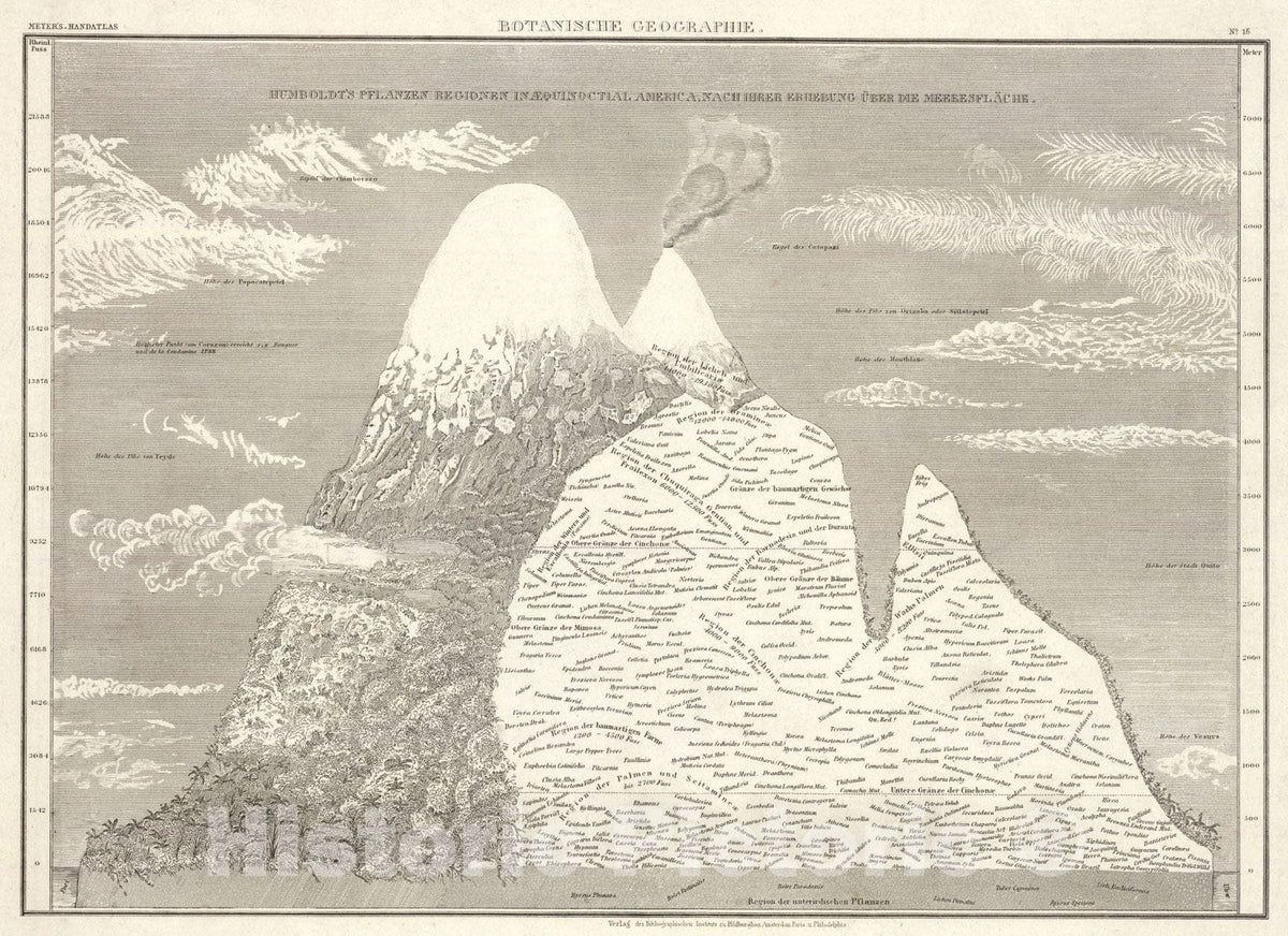 Historic Map : Botanische Geographie., 1860, Vintage Wall Art