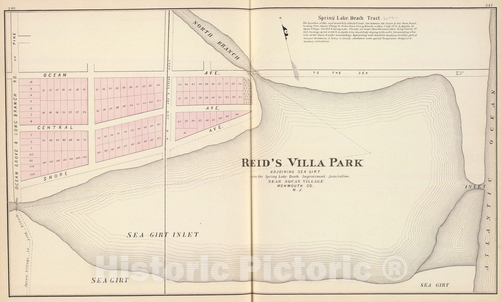 Historic Map : Reid's Villa Park, N.J., 1878, Vintage Wall Art