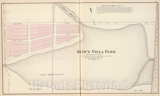 Historic Map : Reid's Villa Park, N.J., 1878, Vintage Wall Art