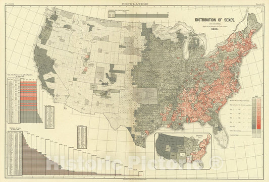 Historic Map : 23. Sexes by counties., 1883, Vintage Wall Art