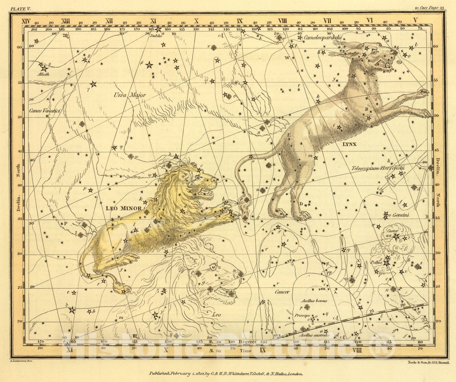 Historic Map : (Lynx and Leo Minor), 1822, Vintage Wall Art