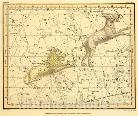 Historic Map : (Lynx and Leo Minor), 1822, Vintage Wall Art