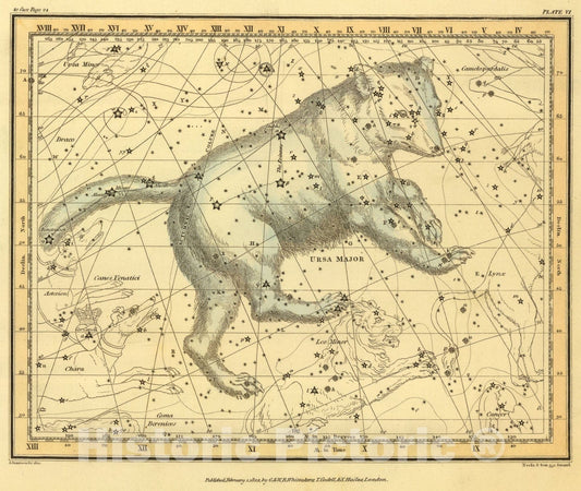 Historic Map : (Ursa Major), 1822, Vintage Wall Art