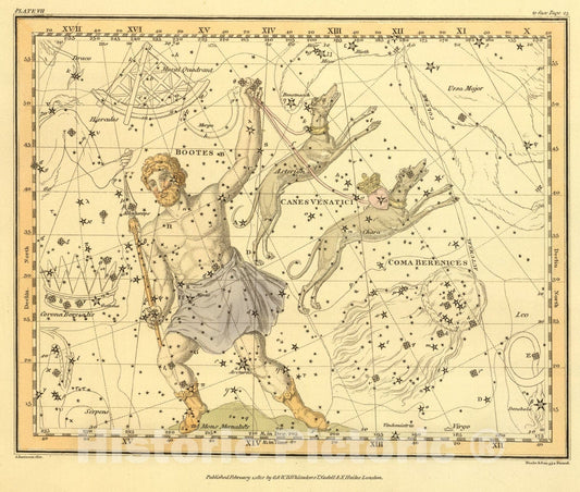 Historic Map : (Bootes and Mons Maenalus, Asterion and Chara, or Canes Venatici, Coma Berenices, and Quadraus Muralis), 1822, Vintage Wall Art
