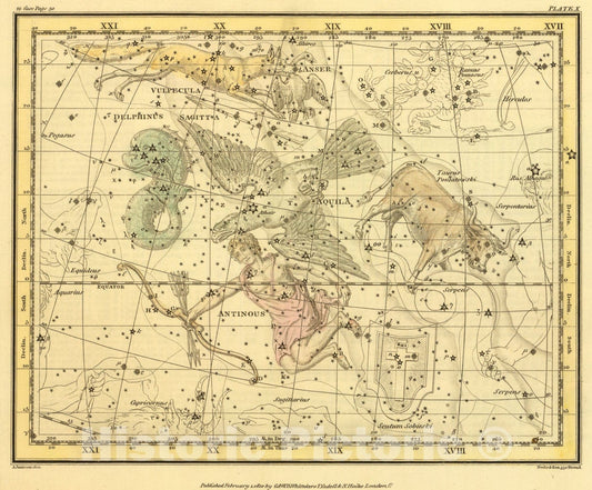 Historic Map : (Aquila et Antinous, Scutum Sobieski, Taurus Poniatowski, Sagitta, Vulpecula et Anser, Delphinus), 1822, Vintage Wall Art