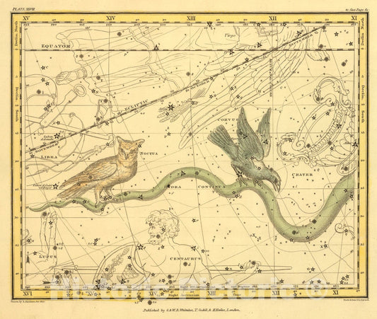 Historic Map : (Hydra Continua, Crater, Corvus, Centarus et Lupus), 1822, Vintage Wall Art