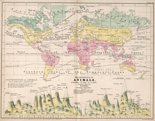 Historic Map : The distribution of animals, according to zones of climate, 1856, Vintage Wall Art
