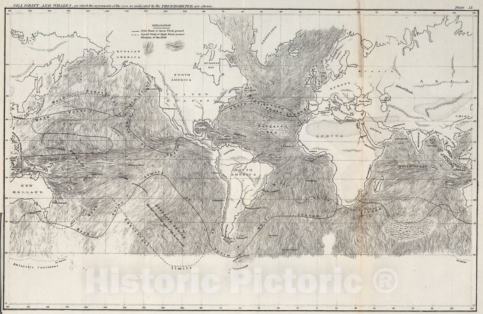 Historic Map : IX. Sea drift and whales, 1857, Vintage Wall Art
