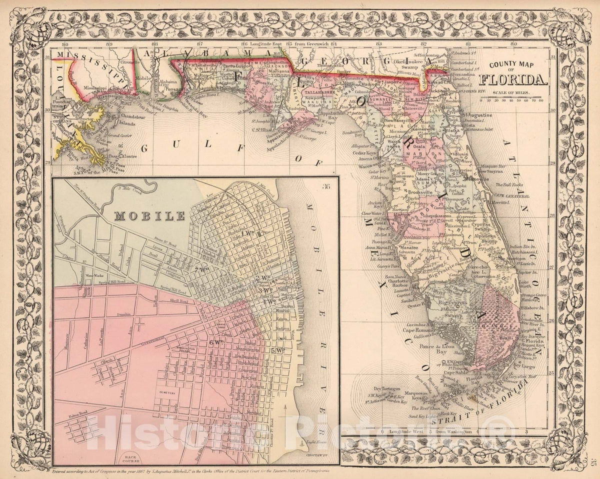 Historic Map : County map of Florida, 1868, Vintage Wall Art